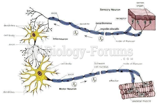 Sensory, motor, interneuron, and effector