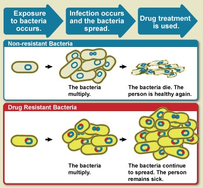 Drug Resistance