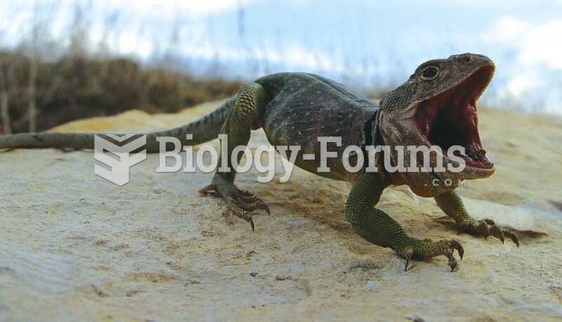 Threat Display: Male Collared Lizard