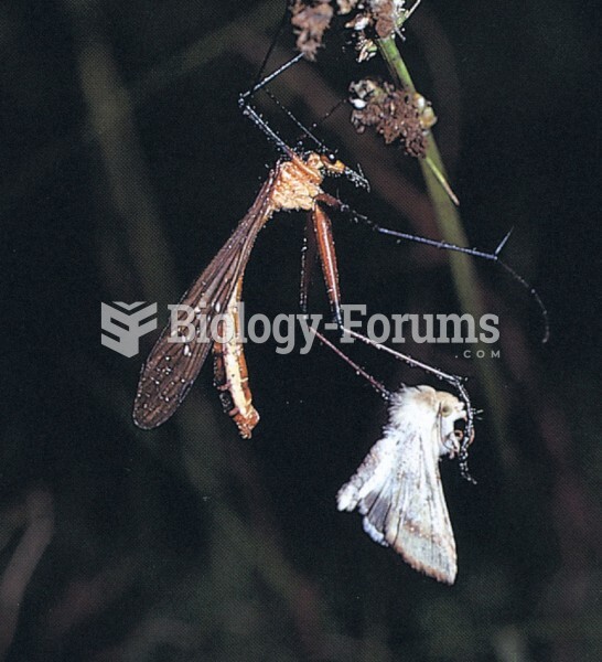 How to impress a choosy female: Male Hangingfly Bearing Food