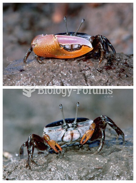 How to impress a choosy female: Male fiddler crabs (top) wave their one enlarged claw to a attract a