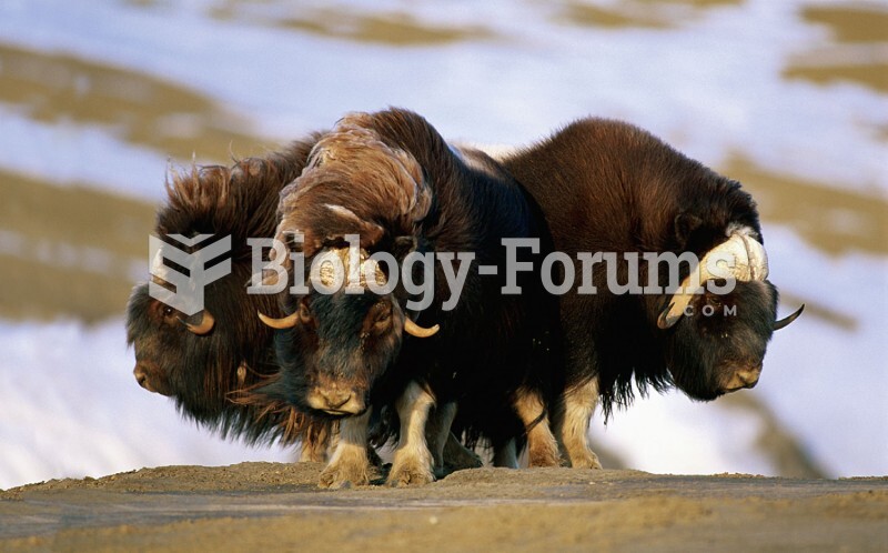 Group Defenses: Musk Oxen