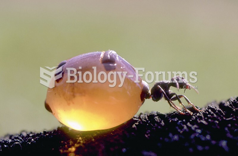 Specialized Workers: Honeypot Ant
