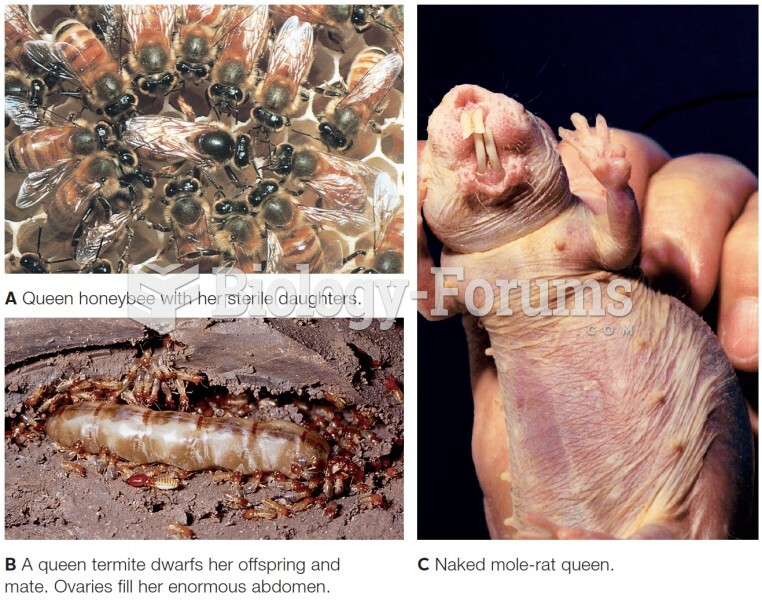 Three queens, fertile females in species that have a reproductive division of labor.