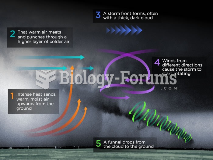 Tornado Anatomy