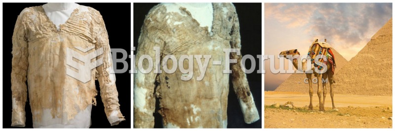 A 5,000-year-old Egyptian garment