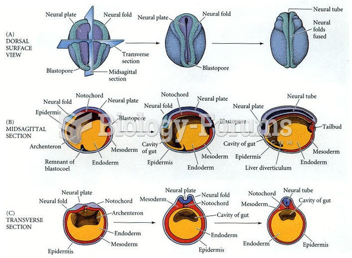 Three views of neurulation in an amphibian embryo
