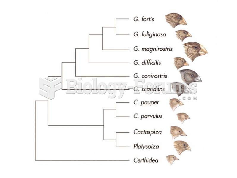 Darwin’s finches: Adaptive radiation of bill types.