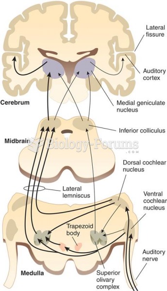 Pathways of the Auditory System 