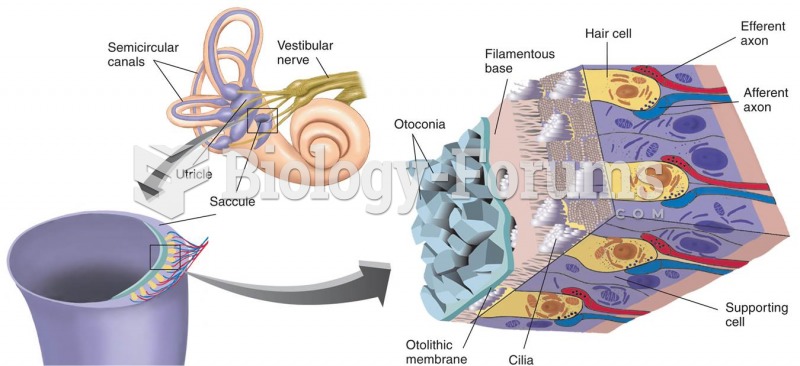 Receptive Tissue of the Vestibular Sacs: the Utricle and the Saccule