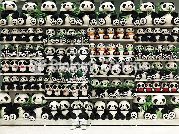 Liu Bolin disappears into a shelf of pandas