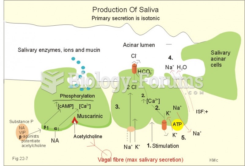 Production of Saliva