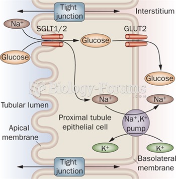 Glucose carrier in tubule