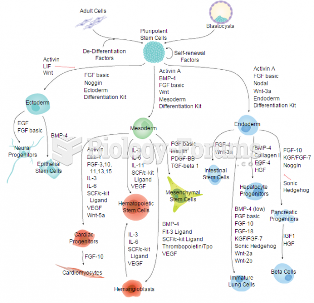 Embryonic and Induced Pluripotent Stem Cells & Lineage-specific Markers