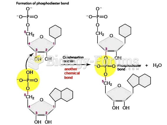 Formation of phosphodiester bond