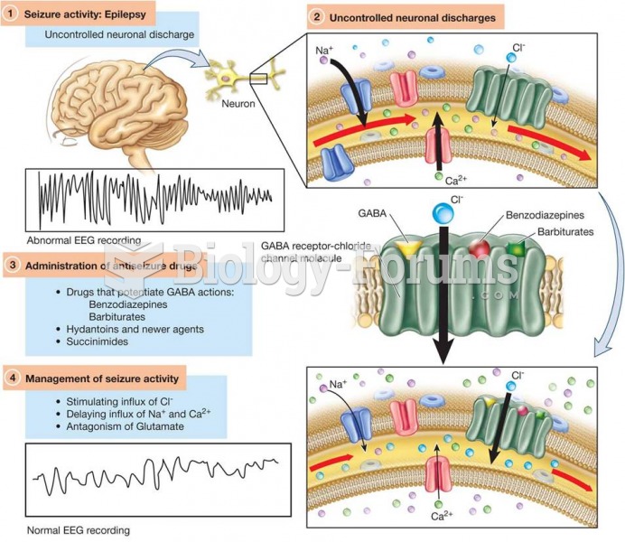 Model of the GABA Receptor–Chloride Channel Molecules in Relationship to Antiseizure Pharmacotherapy