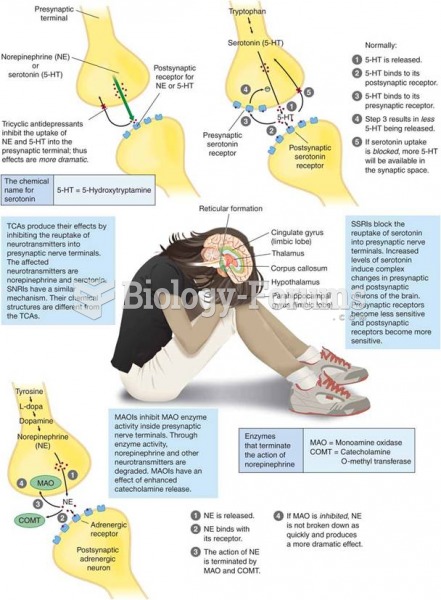 Antidepressant Therapy Is Directed Toward the Amelioration of Depressive Symptoms