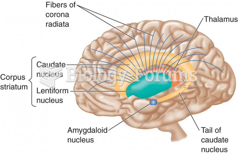 Basal ganglia: overstimulation of dopamine receptors may be responsible for schizophrenia