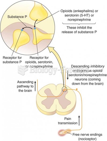 Neural pathways for pain