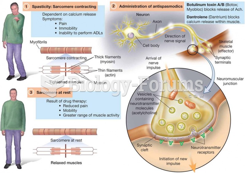 Mechanism of Action of Direct-Acting Antispasmodics