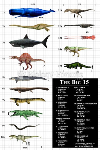 Largest Predators