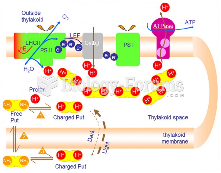 PAs accumulate in the lumen and buffer the lumen pH during photophosphorylation.