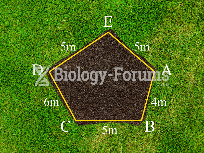 Plot of land (Part b)