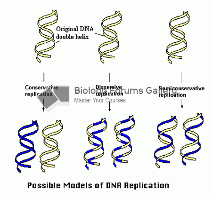 Possible Models for DNA Replication
