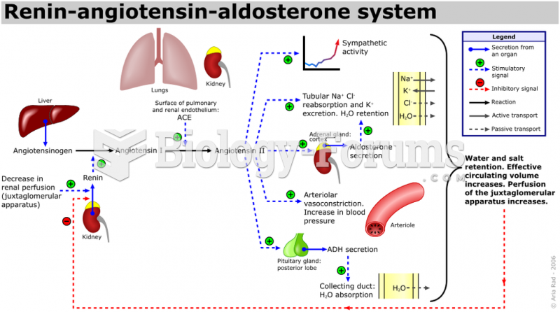 The renin-angiotensin pathway
