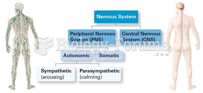 Divisions of the Nervous System