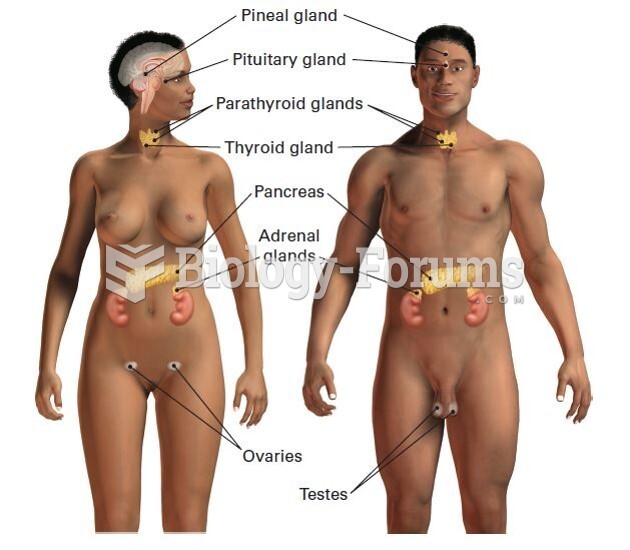 Endocrine System Glands