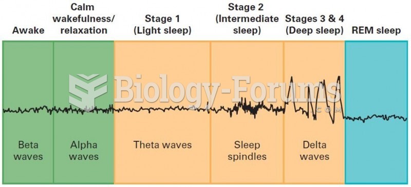 REM Sleep