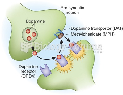 Dopamine synapse