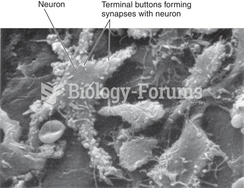 Neurons and Glia 