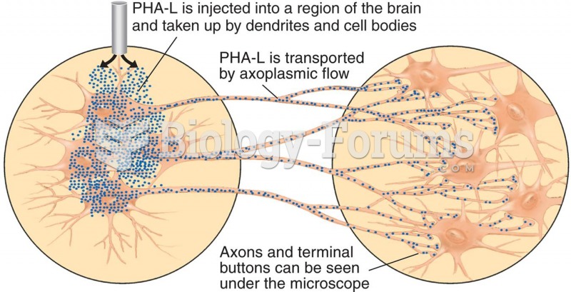 Using PHA-L to Trace Efferent Axons