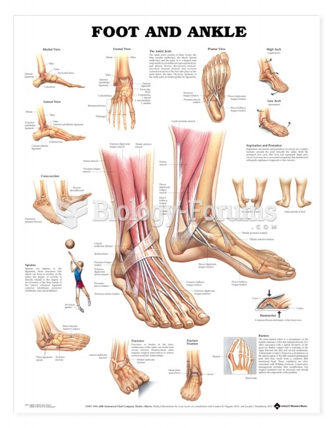 Anatomical Charts Foot and Ankle