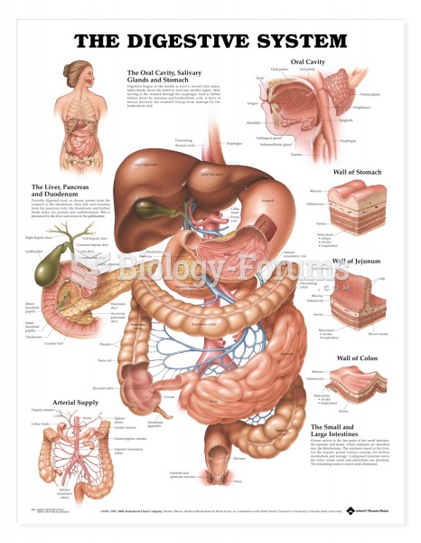 Anatomical Charts Digestive System