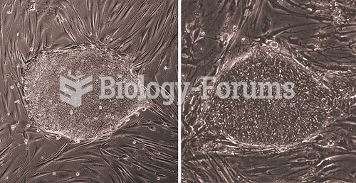 Human embryonic stem cell colony and iPS colony