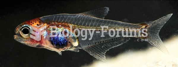 Transparent Amazonian Fish