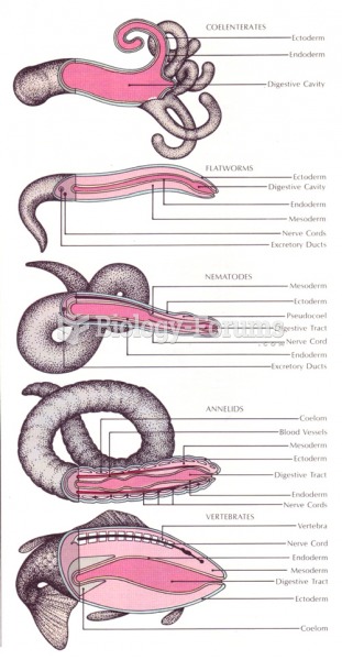 Endoderm Ectoderm Mesoderm comparison