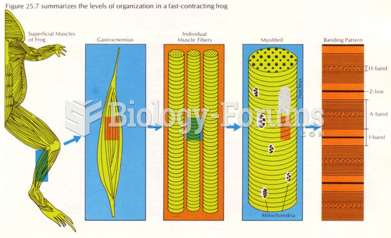 Levels of organization in a fast contracting frog