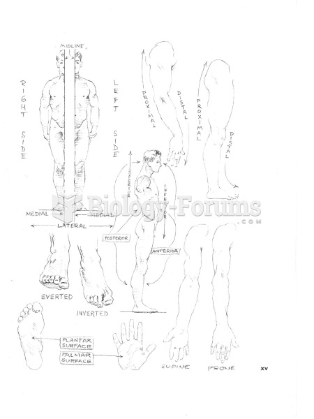Anatomical Positions