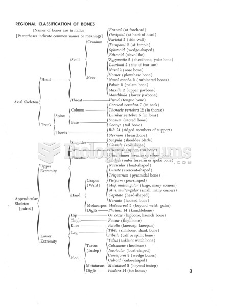 Regional Classification of Bones