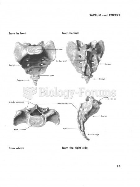 Sacrum and Coccyx