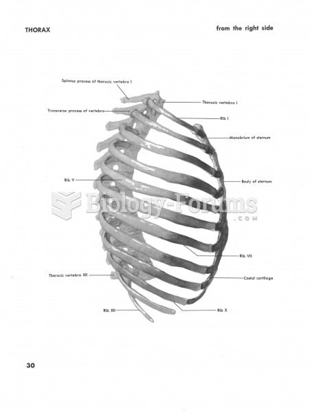 Thorax side