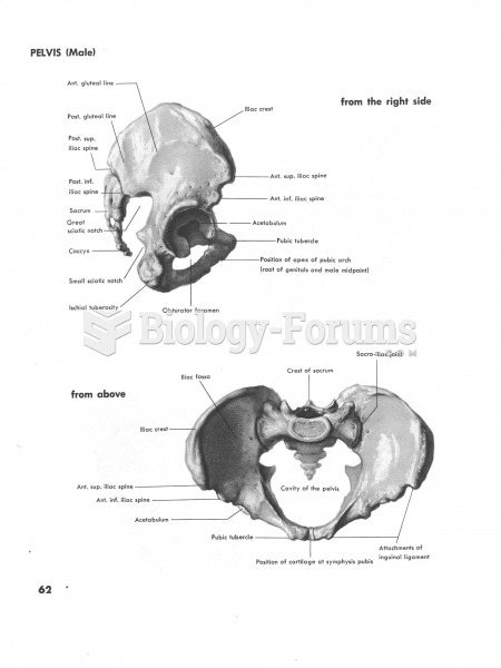 Pelvis Male from side and above