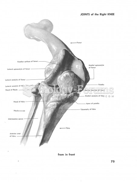 Joints of the right knee
