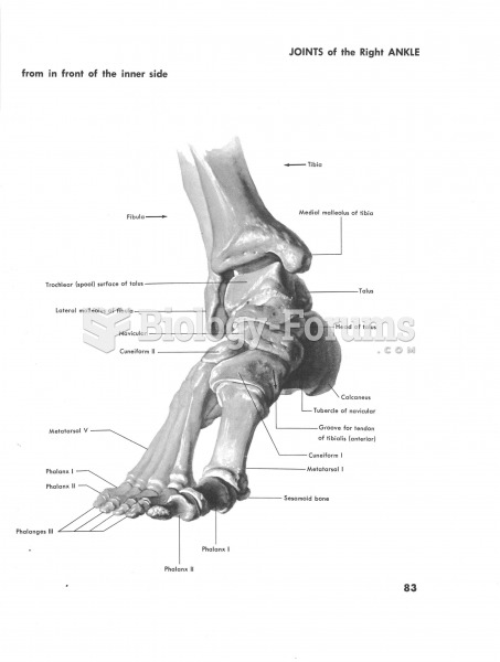 Joints of the right ankle
