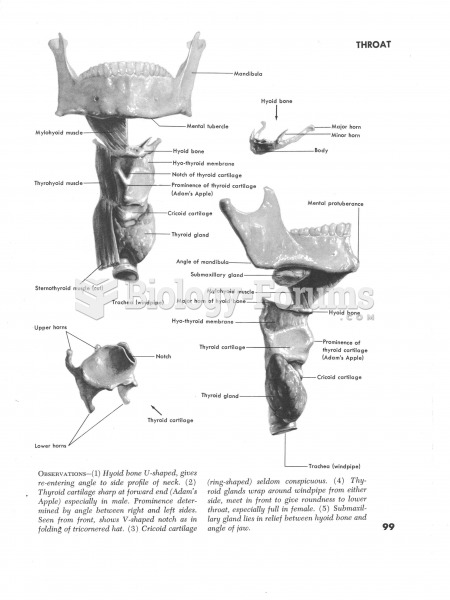 Muscles of the Throat