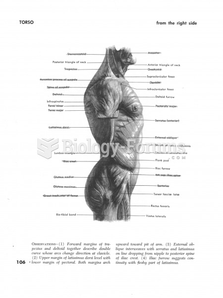 Muscles of the Torso Side